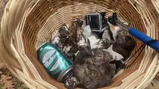 MARXUELOOOOOOS!!!