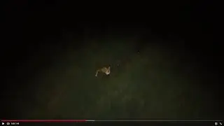 London Helicopter safari, FOX hunt
