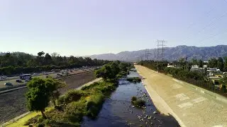 Birding on the Los Angeles River