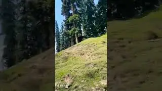 natural beauty hills #shorts #reels #hills #nature #motivation