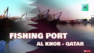 Fish Market | Fishing Port | Dhow Maintenance Unit | Al Khor  - Qatar. #timelapes