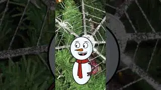 Fun Christmas Facts Friday: Unwrap the Holiday's Hidden Treasures 🎄📚 #ChristmasShorts