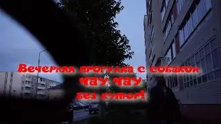 Тест фотоаппарата Panasonic Lumix DMC-G5 в вечерних условиях. Прогулка с Кингом (собака Чау-Чау).