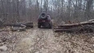GW National Forest - Dictum Trail