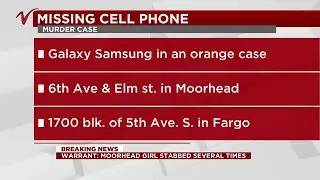 Warrant filed in Clay County Court details what lead up to death of Moorhead girl