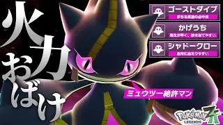 メガジュペッタ、環境で見かける理由はミュウツー環境に“ガチで強い”から。【ポケモンZ-A】