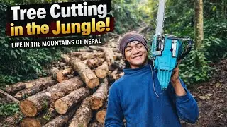 Real Jungle Life in Nepal | Tree Cutting Hard Work