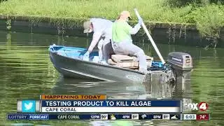 Company tests product to try to kill algae in Cape Coral