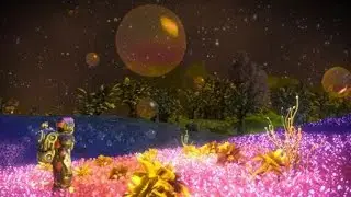 NMS || Bubbles
