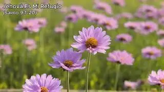 Salmo 9 - Alabanza Latina - “Jehová es Mi Refugio“