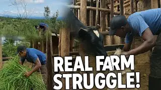 Farming Reality &ndash; Cleaning, Feeding, and Repairing in One Day
