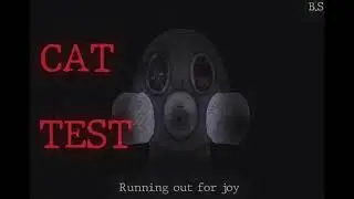 Cat test 02- The noise of the building