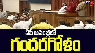 ఏపీ అసెంబ్లీలో గందరగోళం TDP MLA's Suspended From AP Assembly | TV5 News Digital