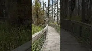 In search of THAT cocodrile!!!