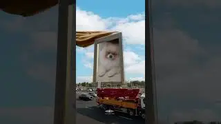 zeus el perrito valiente