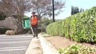 30 years of Landscaping in San Diego - LaBahn's Landscaping