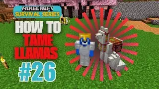 Survival Guide Series #26 LLAMAS TUTORIAL: Taming, Breeding I Minecraft 1.20 Guide