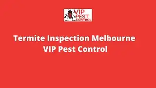 Termite Inspection Melbourne - VIP PEST CONTROL