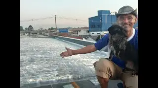 Cobertura transparente gigante com garrafas pet, Parte 02