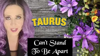 TAURUS ♉️ LOVE 💗 Can't Stand to Be Apart TAROT READING