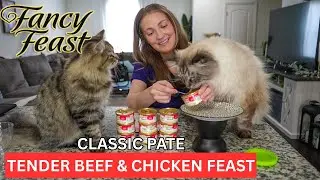 Is Fancy Feast Tender Beef & Chicken Feast Classic P&acirc;t&eacute; Worth It? Honest Cat Food Review! 🐾
