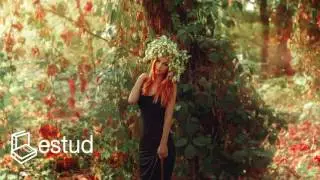 M&uacute;sica Zen para Estudiar con Mucha Concentraci&oacute;n y Relajaci&oacute;n | M&uacute;sica Relajante para Estudiar