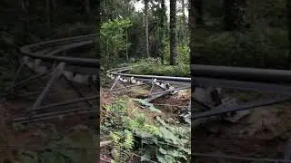 Fforest Alpine Coaster