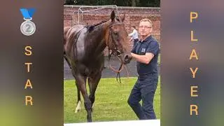 Racehorse - Star Player - Pontefract Racecourse