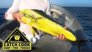 Dorado (Mahi-Mahi) fishing Part 2 at Inhaca island Mozambique | CATCH COOK