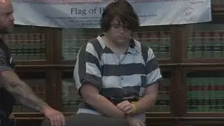 Teen accused of sexually assaulting young boy on school bus asks judge to dismiss charges