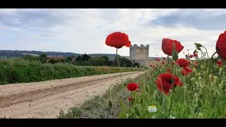 Romance de Diego León -Alalumbre Folk-