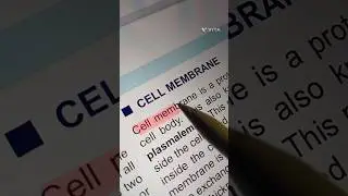 Setting the vibe 🤙🤘.....#medmaven #studyvlogs #medicine #motivation #medvlog #fmge #usmle #neetpg