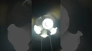 Ventiladores de techo Telesonic y Punktal
