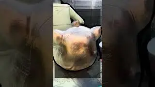 Statue Transformation!
