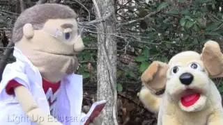A Walk in the Woods - Adventures in Science with Matt and Sam