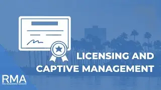 Licensing & Captive Management