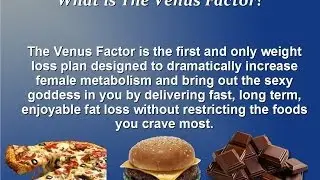 The Venus Factor Review | Does The Venus Factor Really Work?