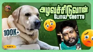 சோகத்தில் Chottu 💔😭| Mini Series: Miss You Daddy | Epi-03 | Vlog 71