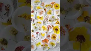 Real flower wax seals!? DIY tutorial:  