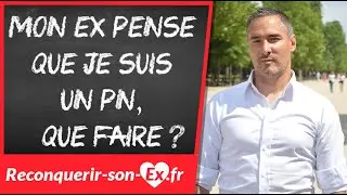 Mon ex pense que je suis un PN !