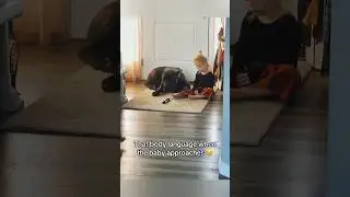 #любовь #малыш