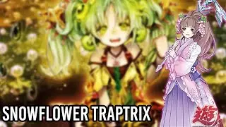 [YgoPro] Yu-Gi-Oh! Snowflower Traptrix Deck Replays MR5 Master Rule 5