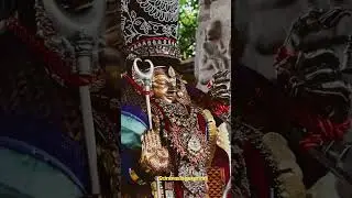 triplicane ramar purapadu #srinivasaperumal #devotional #triplicane #jaisriram #rama #bakthi
