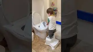 Potty training toilet topper for boy moms #momhack #pottytraining