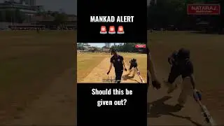 Out or Not Out? What do you think? #cricket #cricketgraph #youtube #shorts