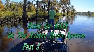 The Best lures to throw on the Sabine River System during the summer