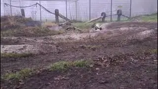 Geil neue Buggy Strecke