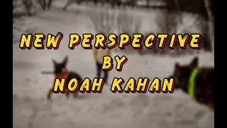 NOAH KAHAN - new perspective  (official lyric video )