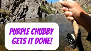 Size 12 PURPLE CHUBBY for the W!  (S2:E28) 