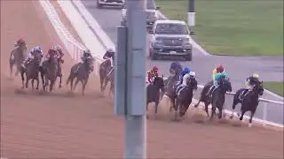 2022 U.A.E. Derby (Crown Pride)